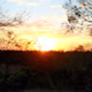 Meet your Posher, Jonis